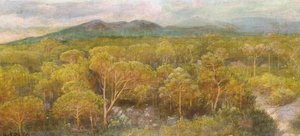 A Dying Kiss in the Fragrant Pine Forest